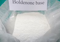 最もよい ボディービルダーのための 98% 純粋な未加工 ボルデノン の粉の ボルデノン のステロイドの混合物 CAS 846-48-0 販売
