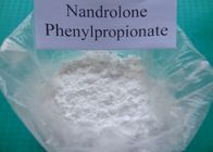 最もよい ナンドロロン の フェニルプロピオン の ナンドロロン のステロイドの ナンドロロン の粉 62-90-8 販売